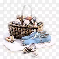 水彩画软体动物壳绘图-空若网 水彩画软体动物壳绘图-空若网