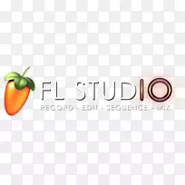 电脑软件fl演播室电脑程式Camtasia系统软件-空若网 电脑软件fl演播室电脑程式Camtasia系统软件-空若网