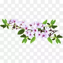 树木剪贴画-空若网 树木剪贴画-空若网