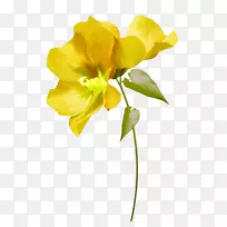 �л�-�¼�ֲ�ﾥ����-��ƴ��-������