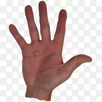 Ĵָ��ģ��ָ������������Ϣ����-������