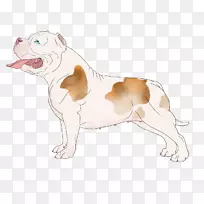 斗牛犬繁殖非体育团体(狗)鼻子-舒特宗-空若网 斗牛犬繁殖非体育团体(狗)鼻子-舒特宗-空若网