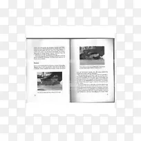 Ʒ�ư�ɫ�������-������