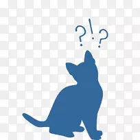 胡须猫博客兽医狗猫-空若网 胡须猫博客兽医狗猫-空若网