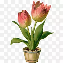 艺术剪辑艺术设计-空若网 艺术剪辑艺术设计-空若网