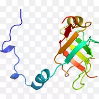 �ߵ������������-������