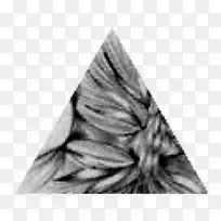 三角白三角形-空若网 三角白三角形-空若网