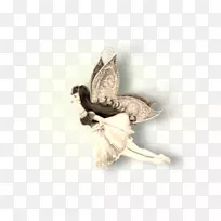 �����ֽ�����鱦װ�ΰ�װ-������