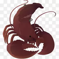 �ߴ�ŵ�����;޴����ɫ����-�-������