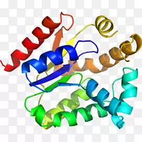 人体珠宝线有机体剪贴画线-空若网 人体珠宝线有机体剪贴画线-空若网