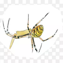 À¥³æº¦³æÖëÍøÄ¤-À¥³æ-¿ÕÈôÍø À¥³æº¦³æÖëÍøÄ¤-À¥³æ-¿ÕÈôÍø