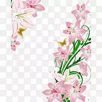 �ٺϻ�����-������