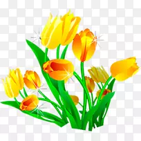 ������-������