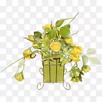 ��ƿ-��ͨ����-������