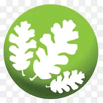 橡树金融服务保险金融计划业务-金融界-空若网 橡树金融服务保险金融计划业务-金融界-空若网