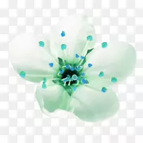 花花瓣-空若网 花花瓣-空若网