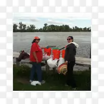 底特律动物园水体划船浅水-空若网 底特律动物园水体划船浅水-空若网