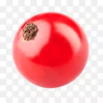 番茄红加仑果浆果-番茄-空若网 番茄红加仑果浆果-番茄-空若网