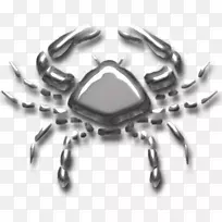 螃蟹租金-一个中心的Decapoda-癌症十二生肖-空若网 螃蟹租金-一个中心的Decapoda-癌症十二生肖-空若网