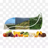 ���ϳ���ʳƷ���-������