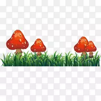 剪贴画-红蘑菇-空若网 剪贴画-红蘑菇-空若网