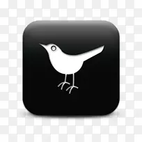 社交媒体大众媒体社交网络服务博客-社交媒体-空若网 社交媒体大众媒体社交网络服务博客-社交媒体-空若网