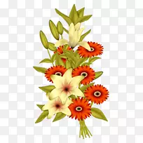 花卉花艺.手绘菊花-空若网 花卉花艺.手绘菊花-空若网