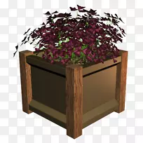 花盆植物长方形-空若网 花盆植物长方形-空若网