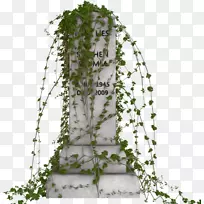 花卉设计花盆树-空若网 花卉设计花盆树-空若网