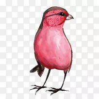 水彩画插图-画鸟-空若网 水彩画插图-画鸟-空若网