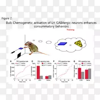 线点设计-空若网 线点设计-空若网