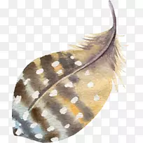 ������ëˮ�ʻ�ͼ��-��ë-������