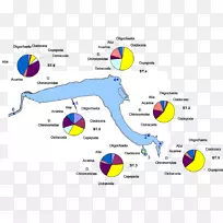 线点图-保护水资源-空若网 线点图-保护水资源-空若网