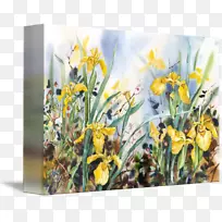 水仙花设计-野花设计-空若网 水仙花设计-野花设计-空若网