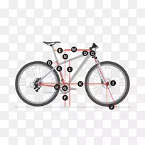 ���г��������г�����ԽҰ����˾���г�����.���г����ֳߴ�-������