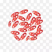 线点剪贴画-线-空若网 线点剪贴画-线-空若网