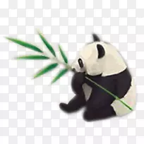 大熊猫,竹子,熊猫,安卓-熊猫和竹子-空若网 大熊猫,竹子,熊猫,安卓-熊猫和竹子-空若网