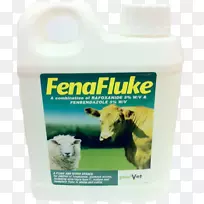 鼻子-空若网 鼻子-空若网