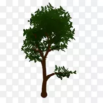 ����������Ӱ����-������