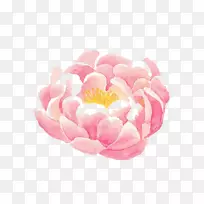 Ë®²Ê»²åͼ.Ë®²Ê»»¨-¿ÕÈôÍø Ë®²Ê»²åͼ.Ë®²Ê»»¨-¿ÕÈôÍø