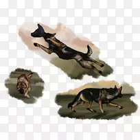 È®¿ÆÀ¥³æÒ°Éú¶¯Îï-¹·-¿ÕÈôÍø È®¿ÆÀ¥³æÒ°Éú¶¯Îï-¹·-¿ÕÈôÍø