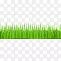 ²Ýƺ²Ý»¨Ô°²Ý-¿ÕÈôÍø ²Ýƺ²Ý»¨Ô°²Ý-¿ÕÈôÍø