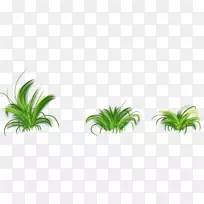 树茎-树-空若网 树茎-树-空若网