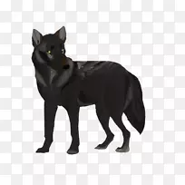 犬种拉布拉多猎犬扁衣猎犬金毛猎犬-空若网 犬种拉布拉多猎犬扁衣猎犬金毛猎犬-空若网