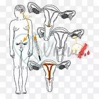 脊椎动物平面设计剪贴画设计-空若网 脊椎动物平面设计剪贴画设计-空若网