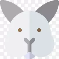 胡须,猫,狗,犬科,鼻子,猫-空若网 胡须,猫,狗,犬科,鼻子,猫-空若网