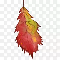 Ë®²Ê»Ãâ°æË°Éè¼Æ-¿ÕÈôÍø Ë®²Ê»Ãâ°æË°Éè¼Æ-¿ÕÈôÍø