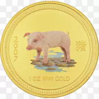 猪鼻-猪-空若网 猪鼻-猪-空若网