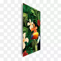 花卉设计画框现代艺术热带收藏-空若网 花卉设计画框现代艺术热带收藏-空若网