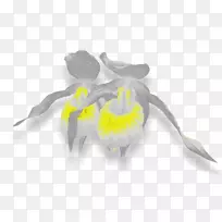 切花昆虫-空若网 切花昆虫-空若网